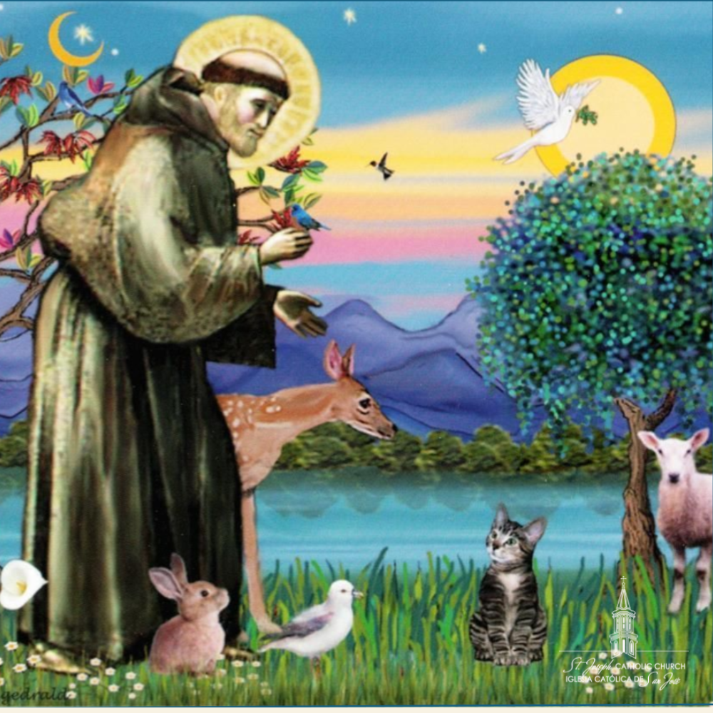 Blessing of the Animals, October 4th
